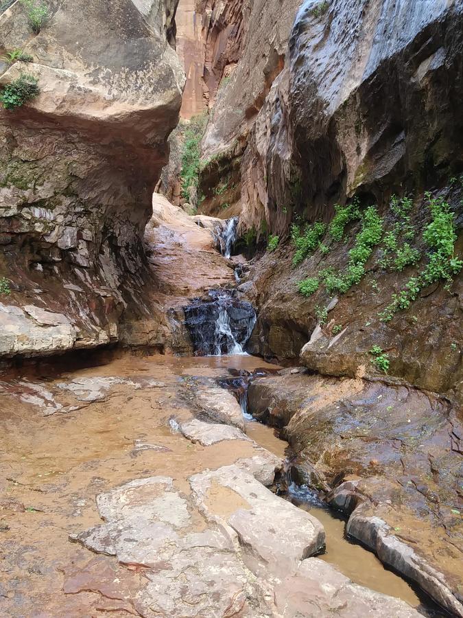 Zion'S Cozy Cabin'S Hildale Экстерьер фото